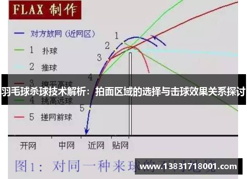 羽毛球杀球技术解析：拍面区域的选择与击球效果关系探讨